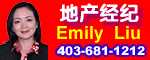 Emily Liu 地产