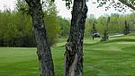 点击图片以查看大图

名称:	Lynx Ridge Golf Club.JPG
查看次数:	104
文件大小:	50.6 KB
ID:	65489