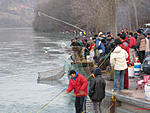 点击图片以查看大图

名称:	Chinese and Fishing.jpg
查看次数:	2772
文件大小:	181.3 KB
ID:	17640