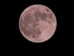 点击图片以查看大图

名称:	super moon.jpg
查看次数:	164
文件大小:	29.5 KB
ID:	62248