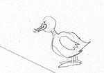 点击图片以查看大图

名称:	Duck.JPG
查看次数:	354
文件大小:	105.3 KB
ID:	54902