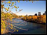 点击图片以查看大图

名称:	Bow River.jpg
查看次数:	104
文件大小:	133.0 KB
ID:	35651